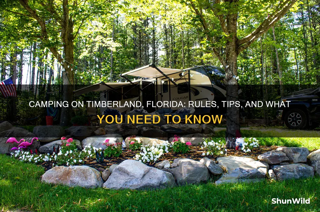 can i camp on timberland florida