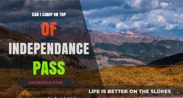 Camping on Independence Pass: Rules, Tips, and What You Need to Know