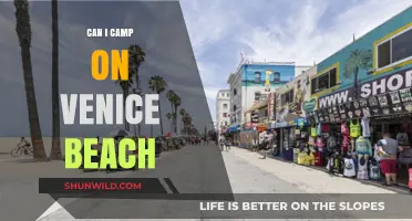 Camping on Venice Beach: Rules, Alternatives, and What You Need to Know