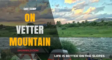 Camping on Vetter Mountain: Rules, Tips, and What You Need to Know