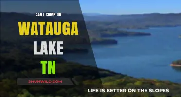 Camping on Watauga Lake TN: Rules, Tips, and Best Spots