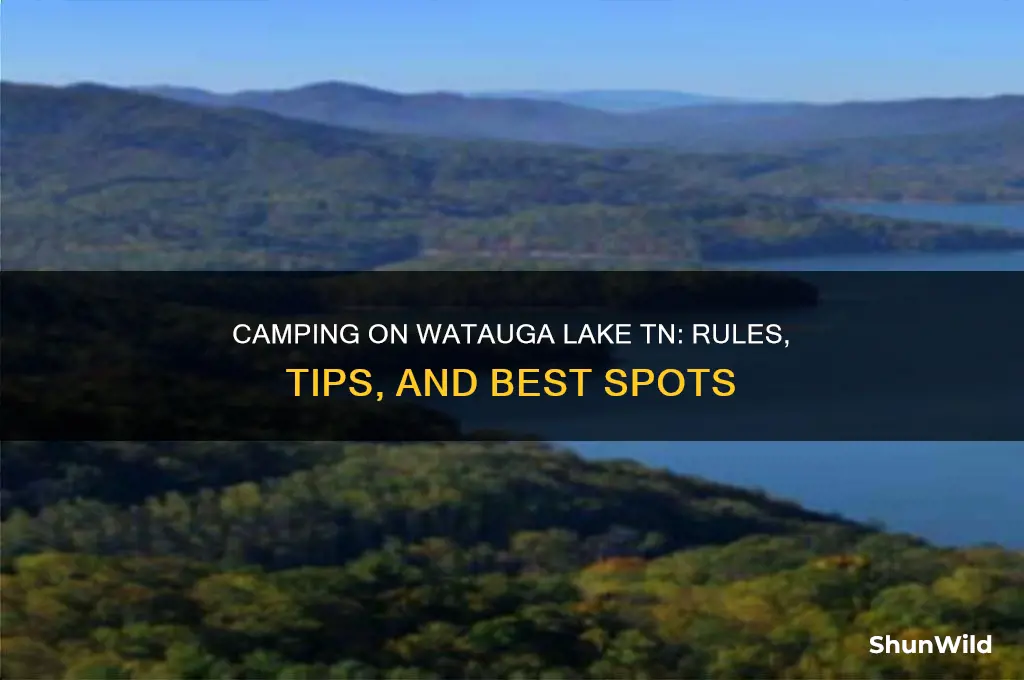 can i camp on watauga lake tn