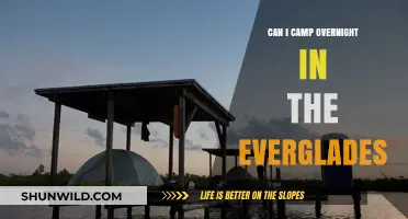 Overnight Camping in the Everglades: Rules, Tips, and Safety Guide