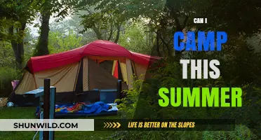 Summer Camping Guide: Tips, Safety, and Best Spots for 2023