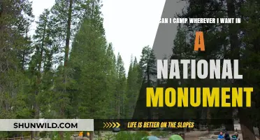 Camping in National Monuments: Rules, Restrictions, and Where to Pitch