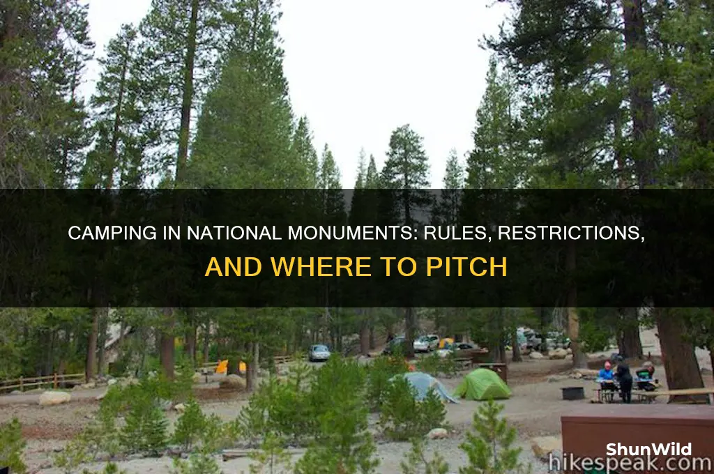 can i camp wherever i want in a national monument