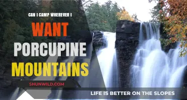 Camping in Porcupine Mountains: Rules, Restrictions, and Best Spots