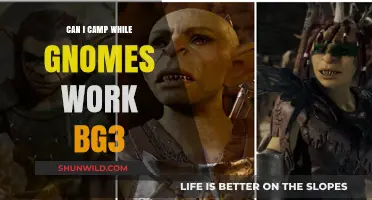 Camping in Baldur's Gate 3: Gnomes at Work, You Rest?