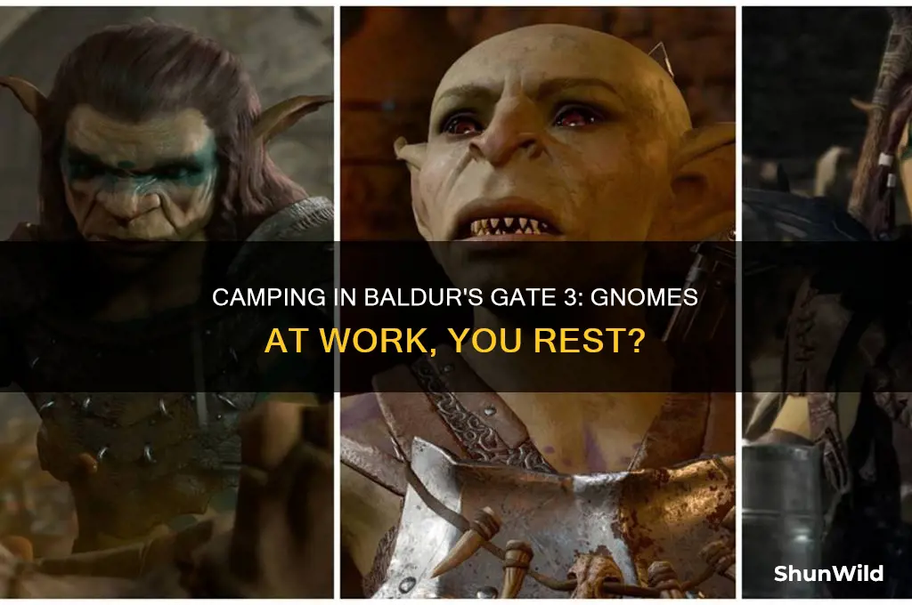 can i camp while gnomes work bg3