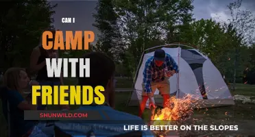 Camping with Friends: Tips for an Unforgettable Outdoor Adventure Together