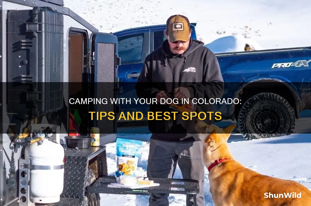 can i camp with my dog in colorado