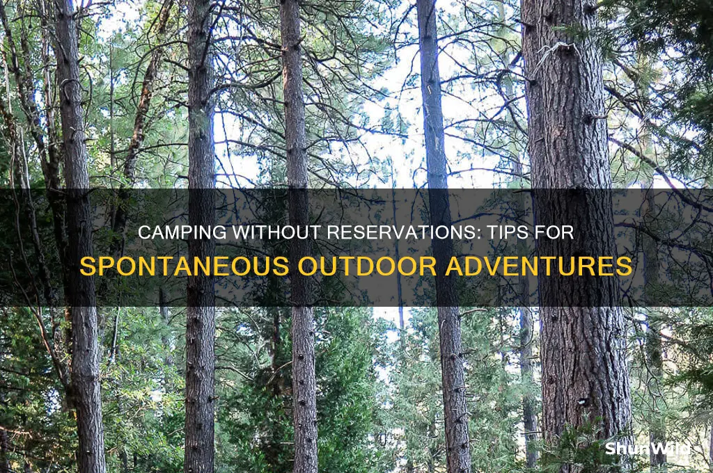 can i camp without a reservation