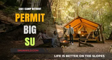 Camping Without a Permit in Big Sur: Rules, Risks, and Tips