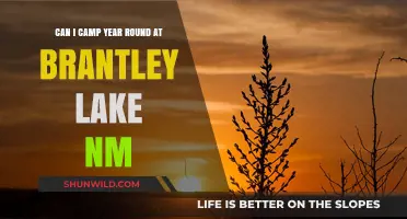 Year-Round Camping at Brantley Lake NM: Is It Possible?