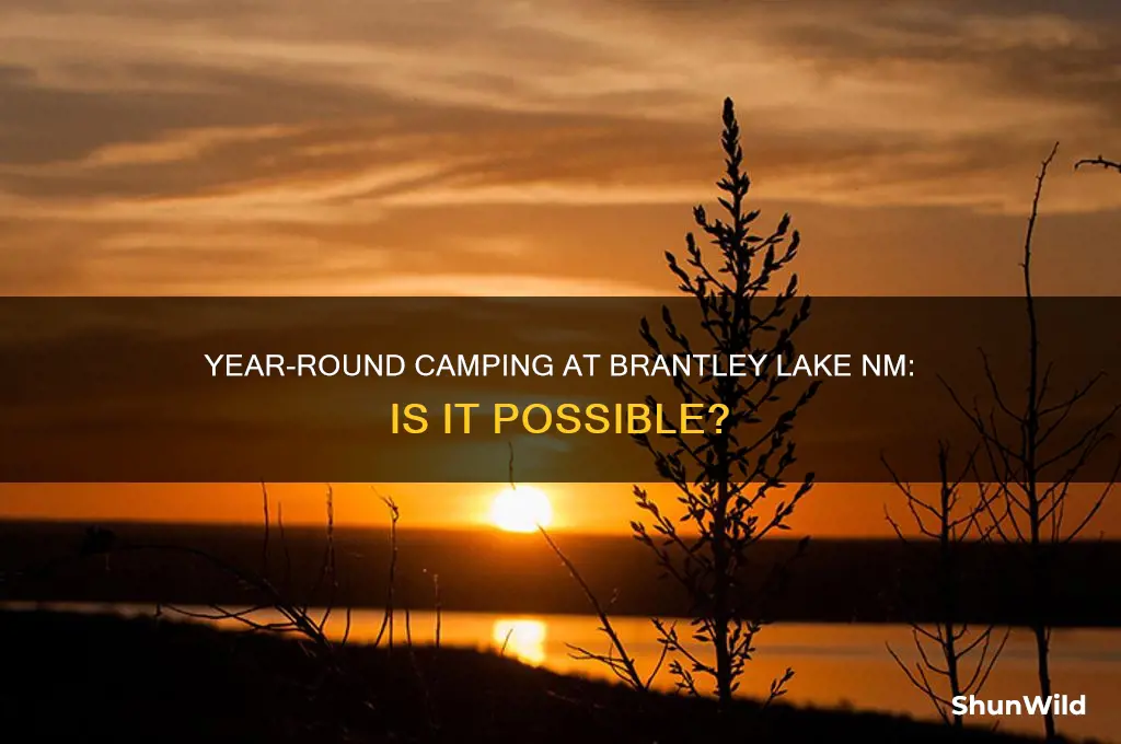 can i camp year round at brantley lake nm