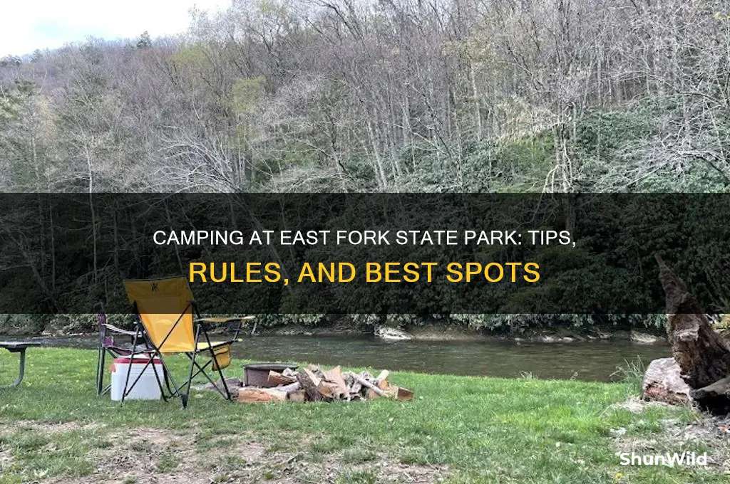 can i camping at eastfork state park