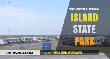 Camping at Mustang Island State Park: Your Ultimate Guide