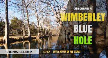 Camping at Wimberley Blue Hole: What You Need to Know