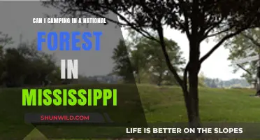 Camping in Mississippi's National Forests: Rules, Tips, and Best Spots