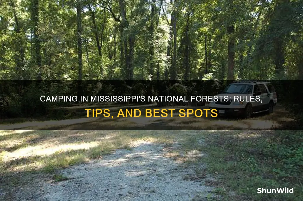 can i camping in a national forest in mississippi