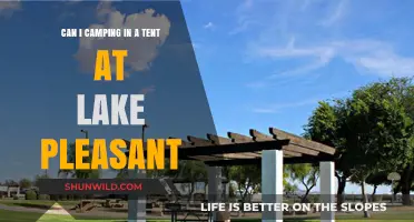 Camping at Lake Pleasant: Tent Options and Essential Tips