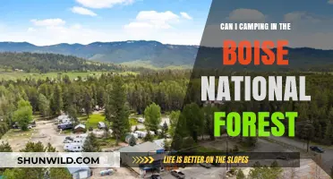 Camping in Boise National Forest: Tips, Rules, and Best Spots