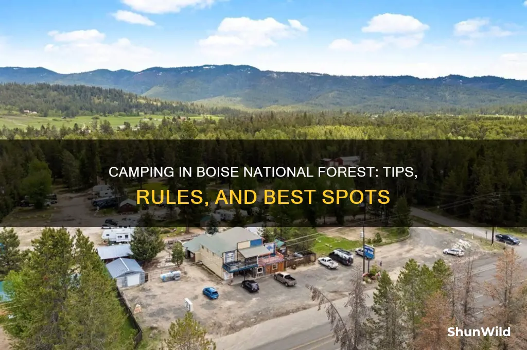 can i camping in the boise national forest