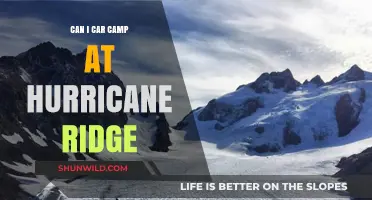 Car Camping at Hurricane Ridge: Tips, Rules, and What to Expect