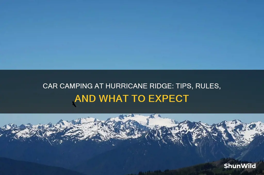 can i car camp at hurricane ridge