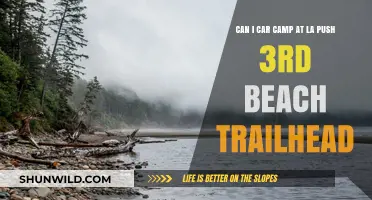 Car Camping at La Push 3rd Beach Trailhead: What You Need to Know