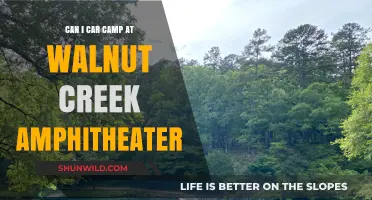 Car Camping at Walnut Creek Amphitheater: Rules, Tips, and Possibilities