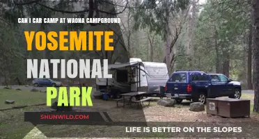 Car Camping at Waona Campground: Yosemite National Park Guide