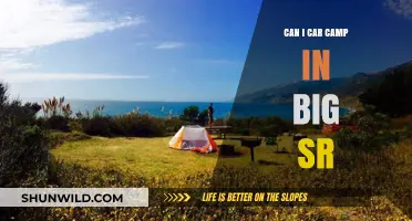 Car Camping in Big Sur: Tips, Rules, and Best Spots