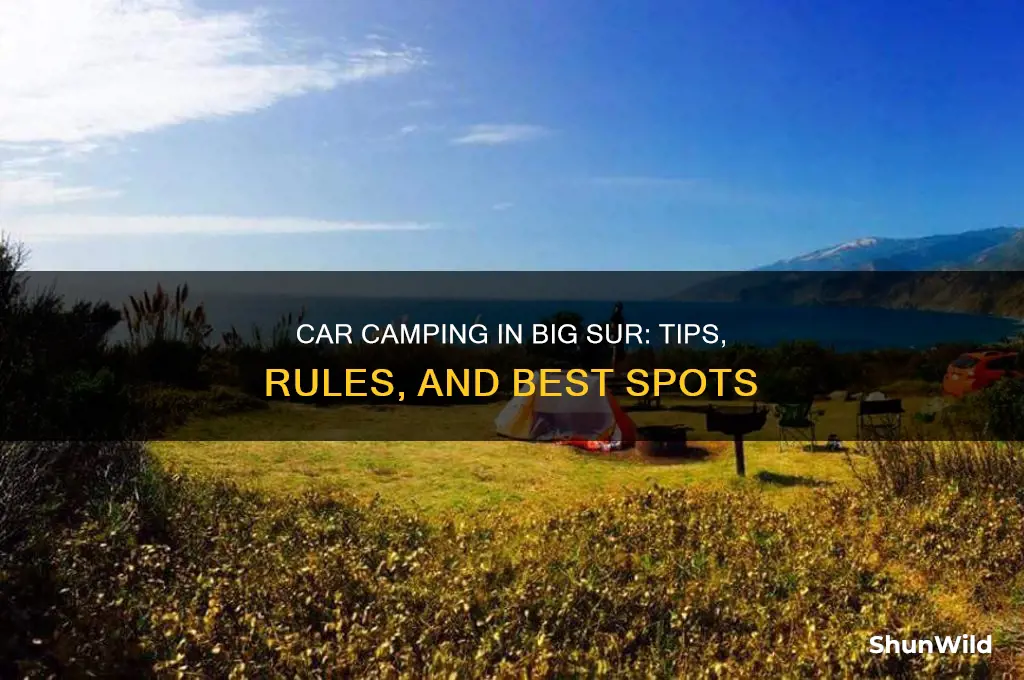 can i car camp in big sr