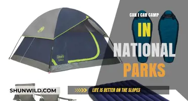 Car Camping in National Parks: Rules, Tips, and Best Practices