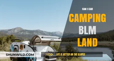 Car Camping on BLM Land: Tips, Rules, and Best Practices