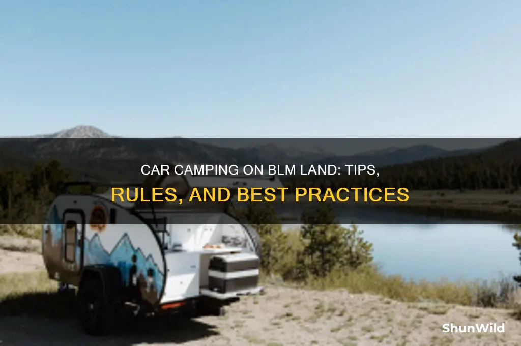 can i car camping blm land