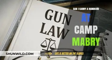 Can You Legally Carry a Handgun at Camp Mabry?