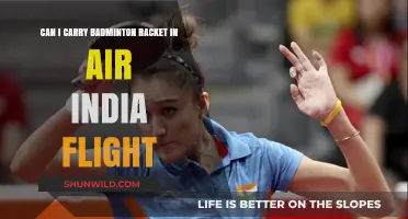 Badminton Gear: Air India's In-Flight Policies Explained