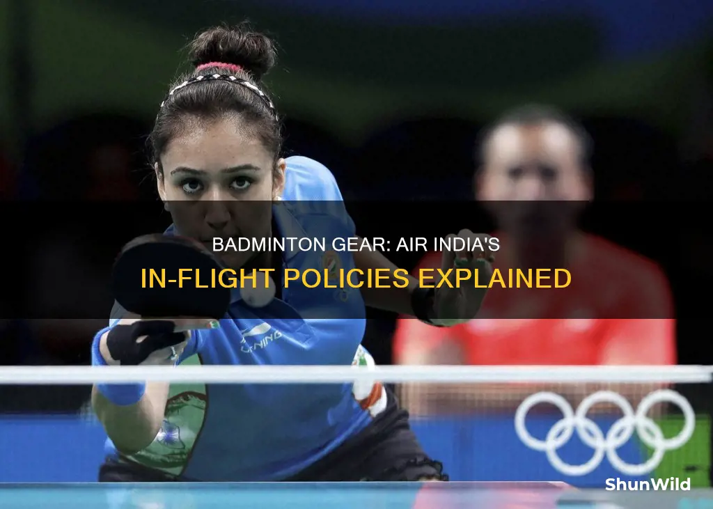 can i carry badminton racket in air india flight