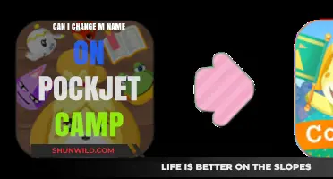 How to Change Your Name in Pocket Camp: A Quick Guide