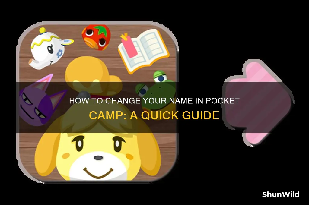 can i change m name on pockjet camp