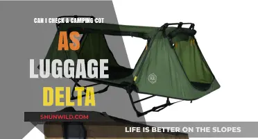 Delta Airlines Camping Cot Luggage Policy: Can You Check It?