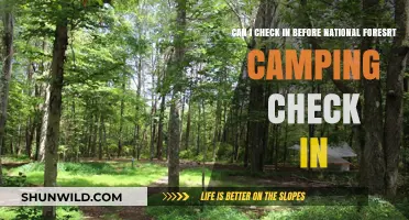 Early Check-In Tips for National Forest Camping Adventures