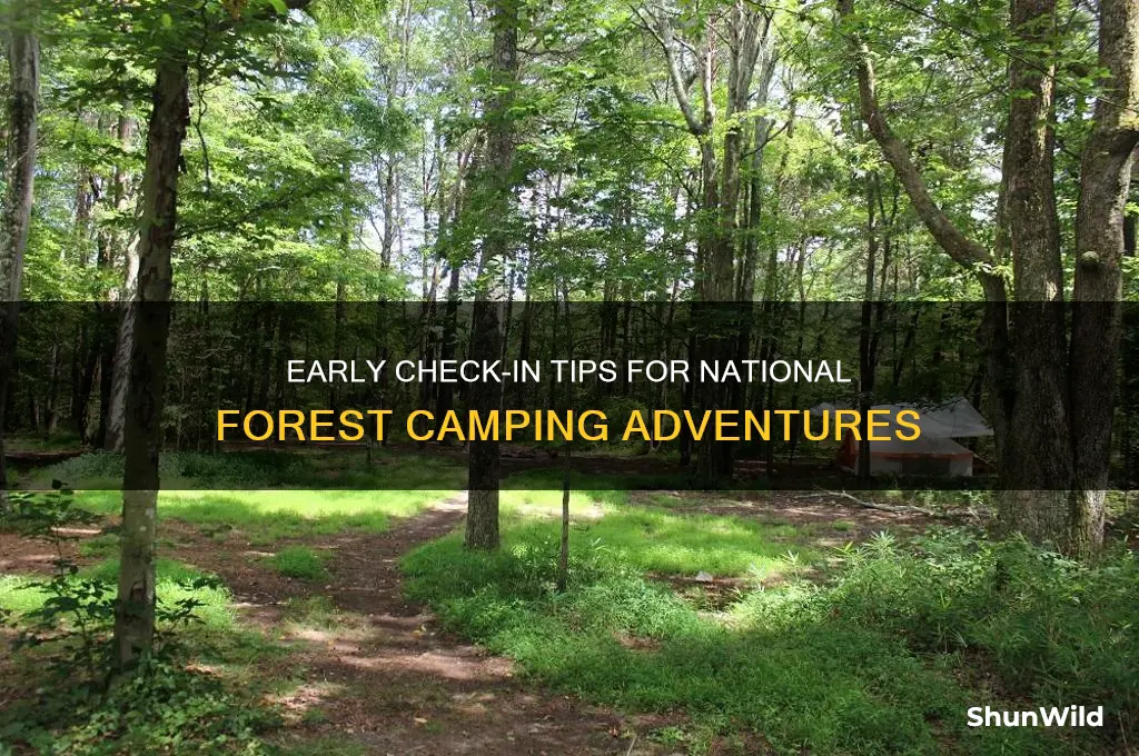 can i check in before national foresrt camping check in