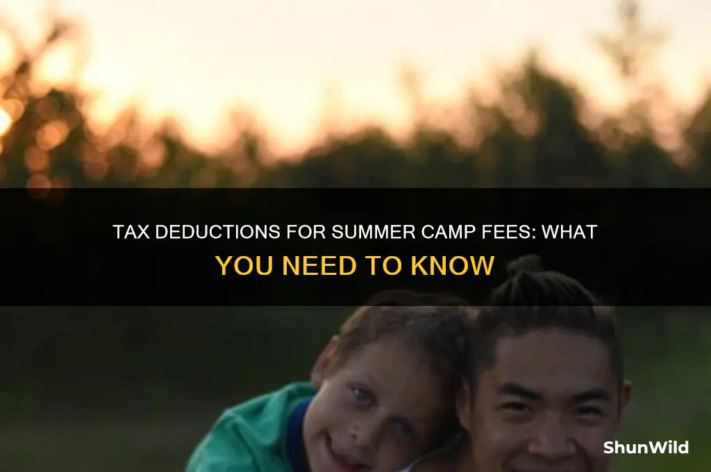 can i claim summer camp fees on my taxes