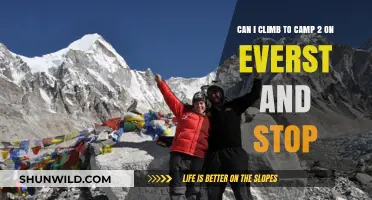 Climbing Everest: Camp 2 as a Final Destination?