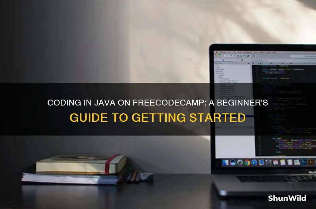 can i code in java on free code camp