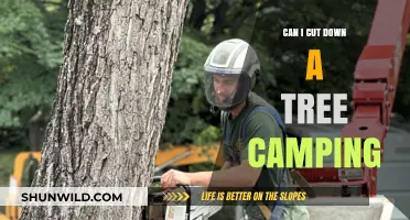 Camping and Tree Cutting: Legal, Ethical, and Practical Considerations