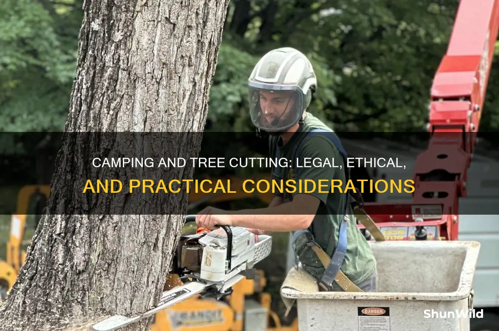can i cut down a tree camping